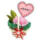 스칸디아모스 카네이션 바구니 만들기 이미지