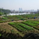 만진농장 이미지