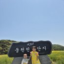 웅천읍 노천리534-1 이미지