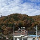 송강민물매운탕 이미지