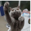 (주)우다다 이미지