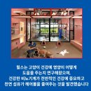 그루그루밍 | 고양이 헤어볼 토 때문에 매일 새벽에 깨신다면? 힐스 유리너리 헤어볼 컨트롤 1.6kg 완전 분석