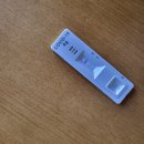 서강흠내과의원 | 코로나 미접종자 확진 일기(1) - 코로나 미결정 너란 녀석.