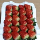 진성2농장 이미지