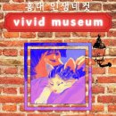 [서울/홍대] 데이트코스 마무리 인생네컷 사진 촬영 &#34;비비드 뮤지엄&#34; 후 &#34;(버터샵)BUTTER :)&#34; 구경