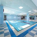 대영 스포렉스 이미지