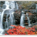 물한계곡민박 이미지