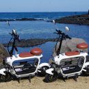 함덕스쿠버다이빙 이미지