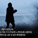 스틸플라워 이미지