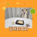 콩이네 멍냥 수제간식 | 강아지수제간식 콩이네멍냥수제간식 기호성 좋은 강아지피자