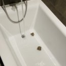 그랜드대중목욕탕 이미지