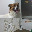 호근농장 이미지