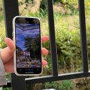 나인 | 서울 근교 춘천 글램핑 캠프나인 후기 | 가성비 계곡 글램핑