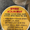 불막열삼진주 네이버블로그