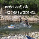 별숲캠핑장 | 울진 왕피천 숲속캠핑장 후기, 계곡 사진 한 장에 반해 다녀왔어요
