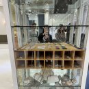 인천 웨스턴팰리스ㅣ뷰티샵,폐백실,혼주대기실 후기