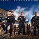 캐나다동물병원 이미지