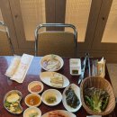 율하로 | [ 장유 맛집 ] 갈매기대도 김해율하점 추천후기