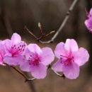 방쌤공부방 이미지