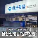[울산 신정동] 대방어 개시 팔등로 신상횟집 원규횟집 #솔직후기