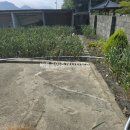 금당도 민박 이미지