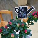 샘머리유치원 이미지