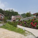 호수가에 펜션 이미지