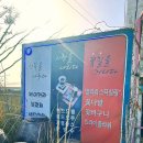 플라워수니 이미지