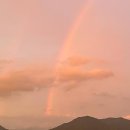 무지개카클리닉 이미지