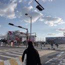 타이거 파라다이스 | [후기]파라다이스시티에서 즐기고 온 뮤캉스! &#34;2025 컬러 인 뮤직 페스티벌&#34;