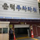 사랑니 발치 후기 (의정부 성모본 치과)