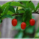 심무물욕 이미지