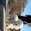 양평너른마당 뜨란채 이미지