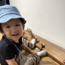 가야금튕겨보기 이미지