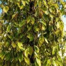 규석농장 이미지