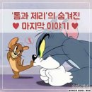 제리모터스 이미지