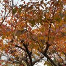 소도락하우스 이미지