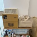 이정훈 강아지 하남본점 이미지