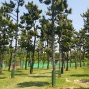 탱고노래연습장 이미지