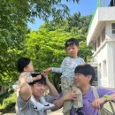 달성공원로 | 대구 동물원 달성공원, 새벽시장 주차부터 후기까지
