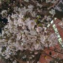 이태원역 2번 출구 이미지