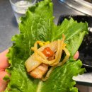미친고기 진월점 | [진월동맛집] 삼겹살 맛집 미친고기 진월점 방문 후기