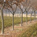 이천농원 이미지