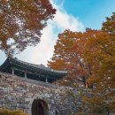 경안로98번길 이미지