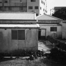 표선리-20 이미지