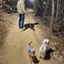 마켓오브유 이미지