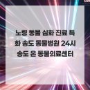 24시 송도 온 동물의료센터 | 노령 동물 심화 진료 특화 송도 동물병원 24시 송도 온 동물의료센터