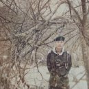 제선당한의원 이미지