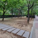 삼가체육공원 주차장 이미지