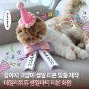 고양이 강아지 특별한 생일파티 세트 리본 화환 제작 후기